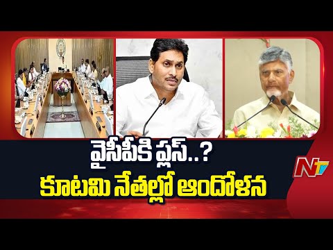 లడ్డు వ్యవహారం వైసీపీకి వరమా..? | కూటమి వర్గాల్లో షాకింగ్ చర్చ | PPP - Tirumala Laddu Ghee Case |NTV - NTVTELUGU