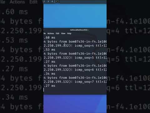 #kalilinux #ping #google