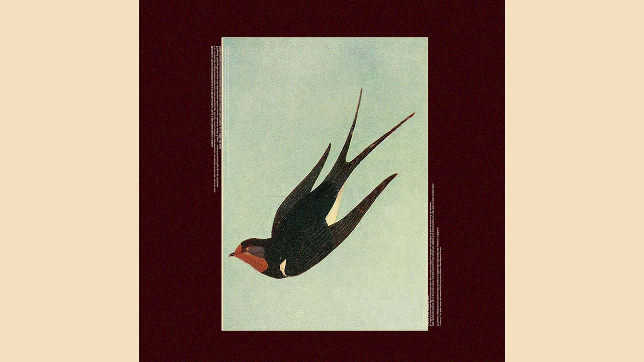 Waterwalls - Anom (Full Album)