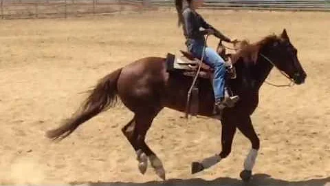 Josie Kate Ferrante Video