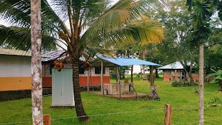 🇨🇴🐄Flat cattle ranch for sale in Yopal, Casanare.. 3219120339 price 30 million per hectare