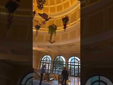 Video: Ostlemine Bellagio Hotel Las Vegases