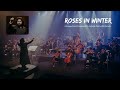 Roses in winter  concert by jackson xavier  western classical music  violin arrangements  string