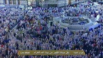 سورة الزمر | ٥٣ - ٧٠ | خالد الغامدي