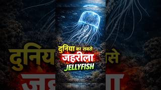 Worldest poisonous jellyfish #jellyfish #poisonous#facts