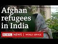 Afghans searching for sanctuary in India - BBC World Service, WorklifeIndia