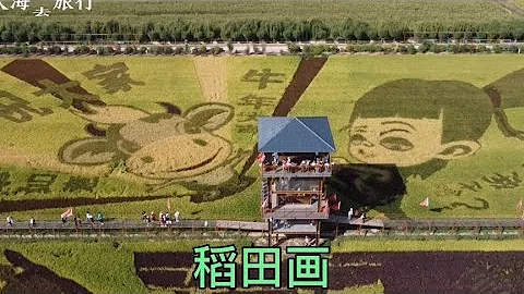 稻田畫你見過嗎，用水稻種出來的畫，很多遊客來玩！【大海去旅行】 - 天天要聞