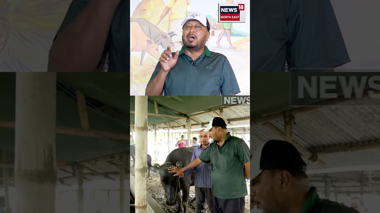 Padma Hazarika on Garukhuti : গৰুখুঁটি প্ৰকল্পক লৈ পদ্ম হাজৰিকাৰ তাৎপৰ্যপূৰ্ণ মন্তব্য। N18S 1-7-2025