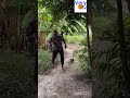 Agent Very Kumbe Pombe Mbaya 
