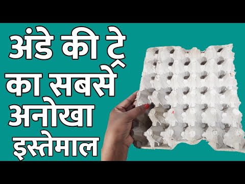 Best Out Of Waste Egg Tray | Reuse Waste Egg Tray | Waste Material ...