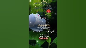 تلاوة خاشعة عطرة مباركة جميلة عذبة للشيخ ماهر المعيقلي ماتيسر من سورة الأعلى