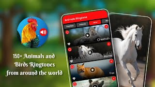 Animals & Birds Ringtones screenshot 5