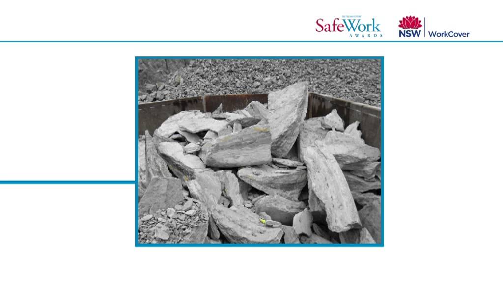 SafeWork Awards 2012 winners - Agi-Clean