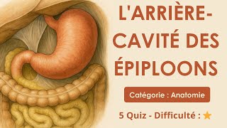 L'arrière-cavité des épiploons - Catégorie : Anatomie