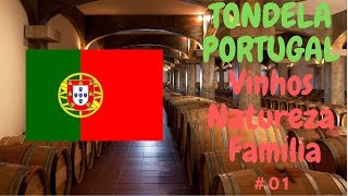 Tondela, Santa Ovaia, Viver em Portugal.