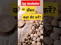 एग इनक्यूबेटर में सेंसर लगाने का सही जगह || egg incubator. TechMech-G #shorts