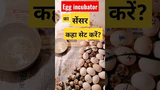 एग इनक्यूबेटर में सेंसर लगाने का सही जगह || egg incubator. TechMech-G #shorts