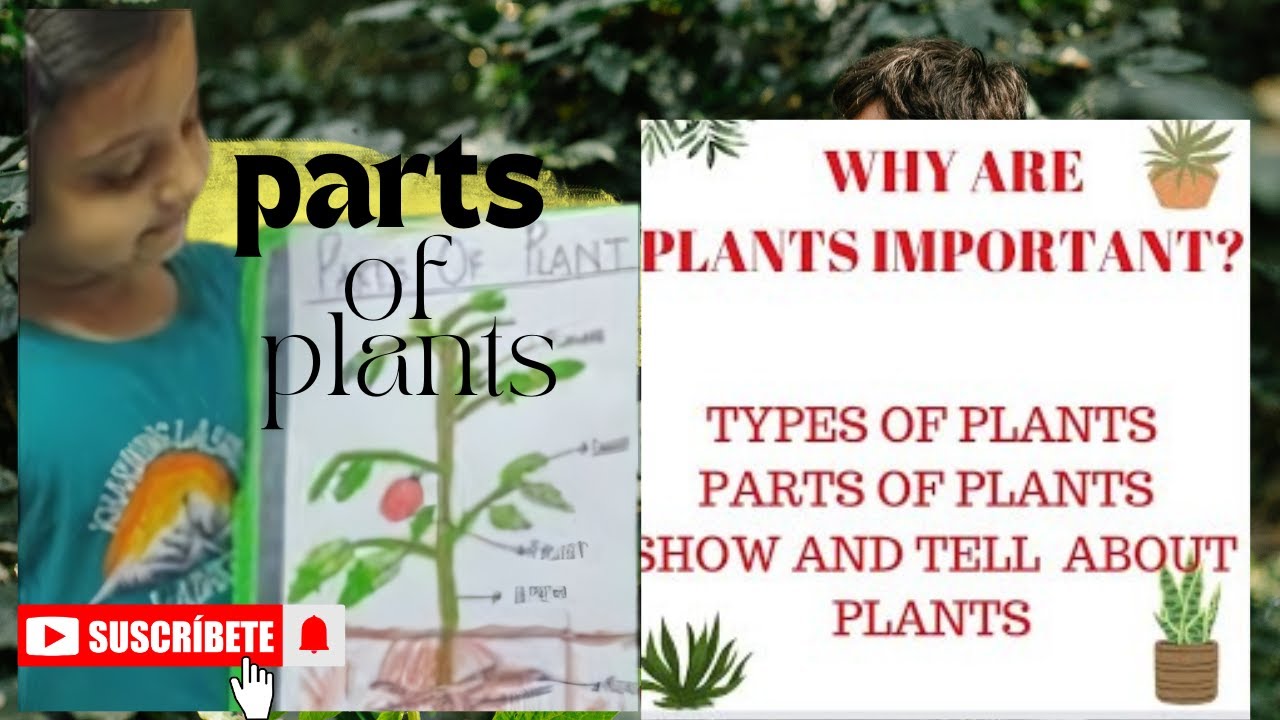 Parts of plants | Types of plants | Save tree l Show and Tell activity ...