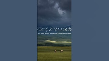 #راحة_نفسية #القرآن_الكريم #قرآن #الشيخ_ياسر_الدوسري #سورة_الجاثية #ياسر_الدوسري