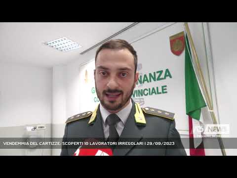 VENDEMMIA DEL CARTIZZE: SCOPERTI 10 LAVORATORI IRREGOLARI | 29/09/2023