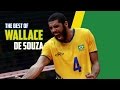 The Best of Wallace de Souza