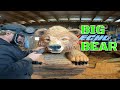 The Wolf & Bear  Chainsaw Carving Bench part 1