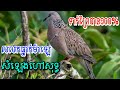 ធ្នាកម៉ាឡេ ហៅអេមណាស់