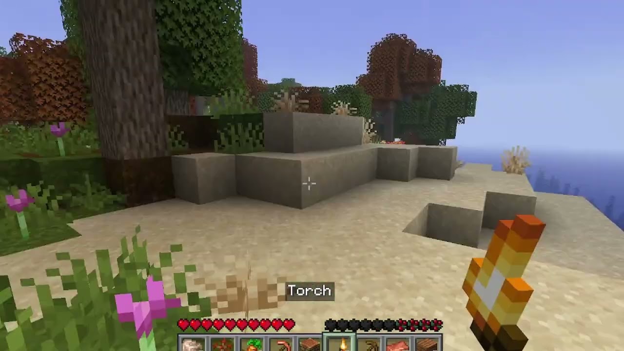 Minecraft, but different || Raspberry Flavoured modpack || Part one