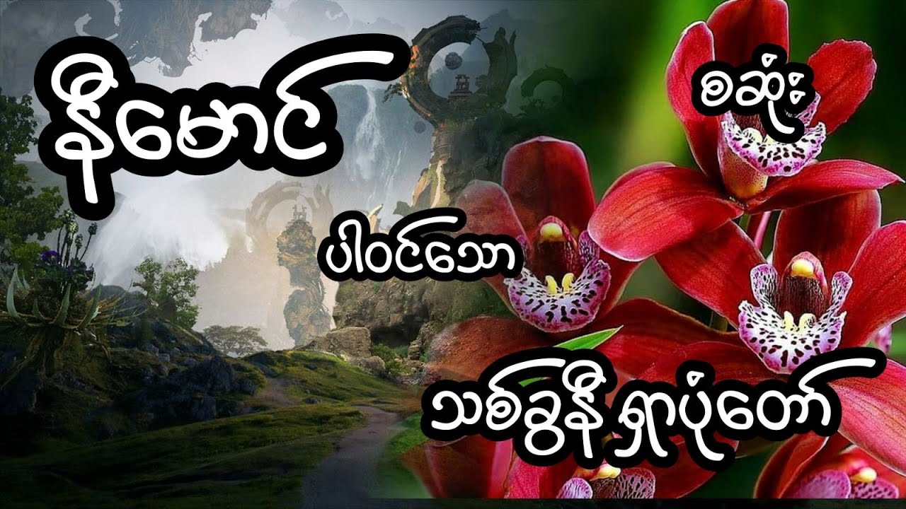 နီမောင် ပါဝင်သော၁ သစ်ခွနီရှာပုံတော် - စဆုံး