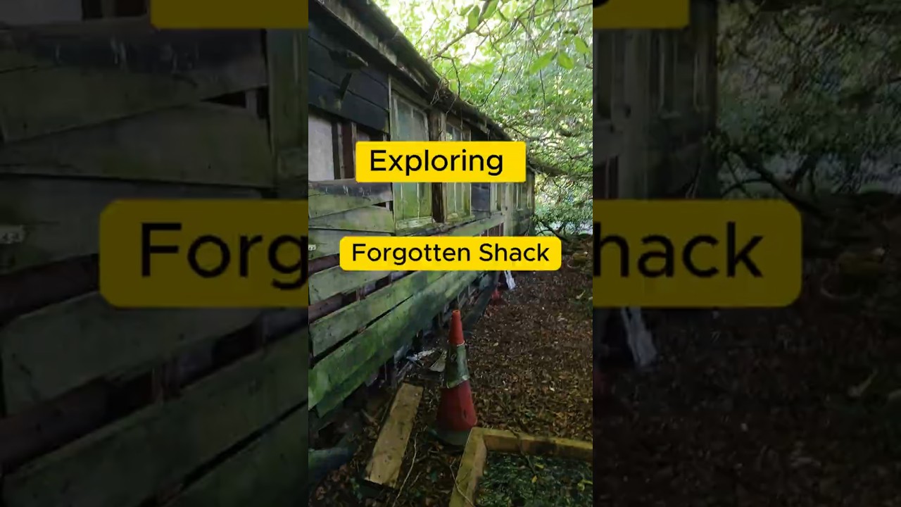 Что осталось после забытой хижины 