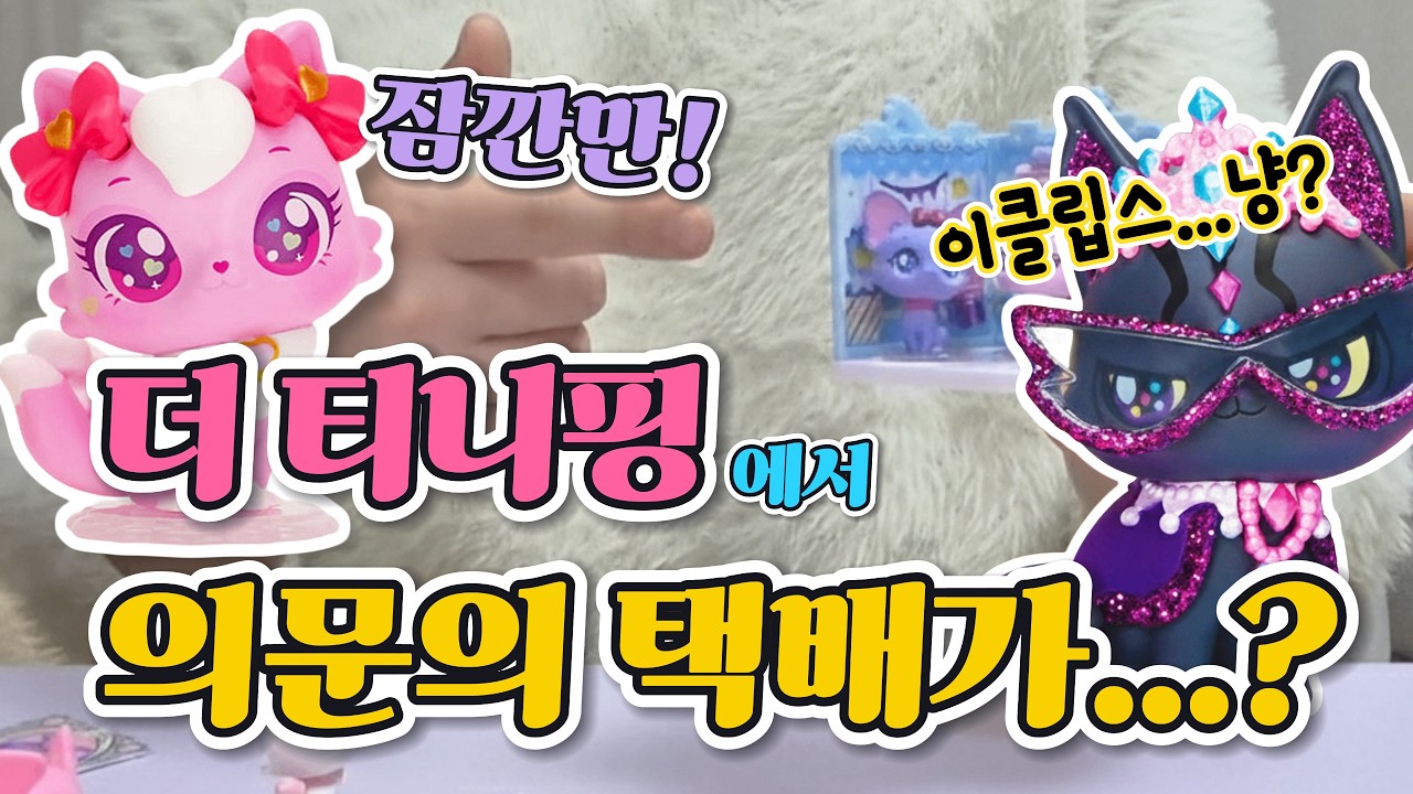 선물이 이 정도라고요? 🐱 위시캣 시즌2 피규어 선공개? 매직룸 랜덤 피규어와 위시캣 소원패드 언박싱