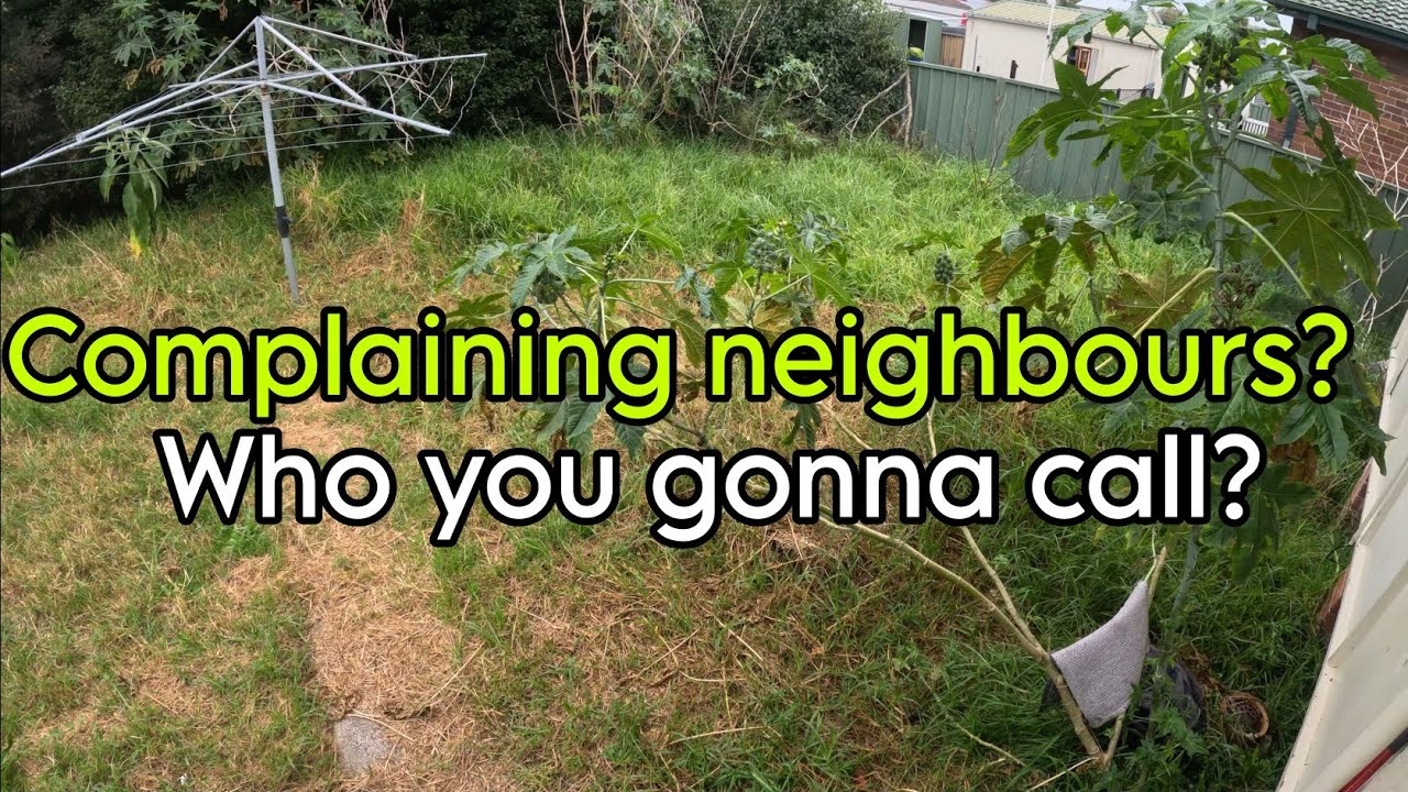 Complaints about your yard? Call this guy! WILD YARD CLEAN UP YouTube