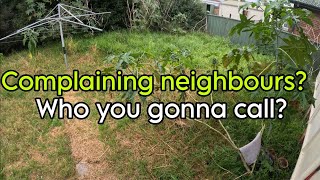 Complaints about your yard? Call this guy! WILD YARD CLEAN UP