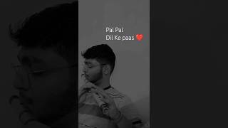 Pal Pal Dil Ke Pass  Kishore Kumar  Flute Cover