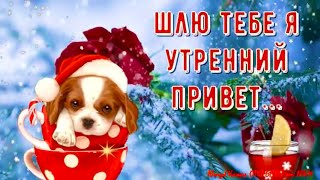 🌹С Добрым Зимним Утром! С Добрым Утром И Хорошим Днем! Открытки Доброе Утро!