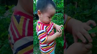 WP 20131022 001