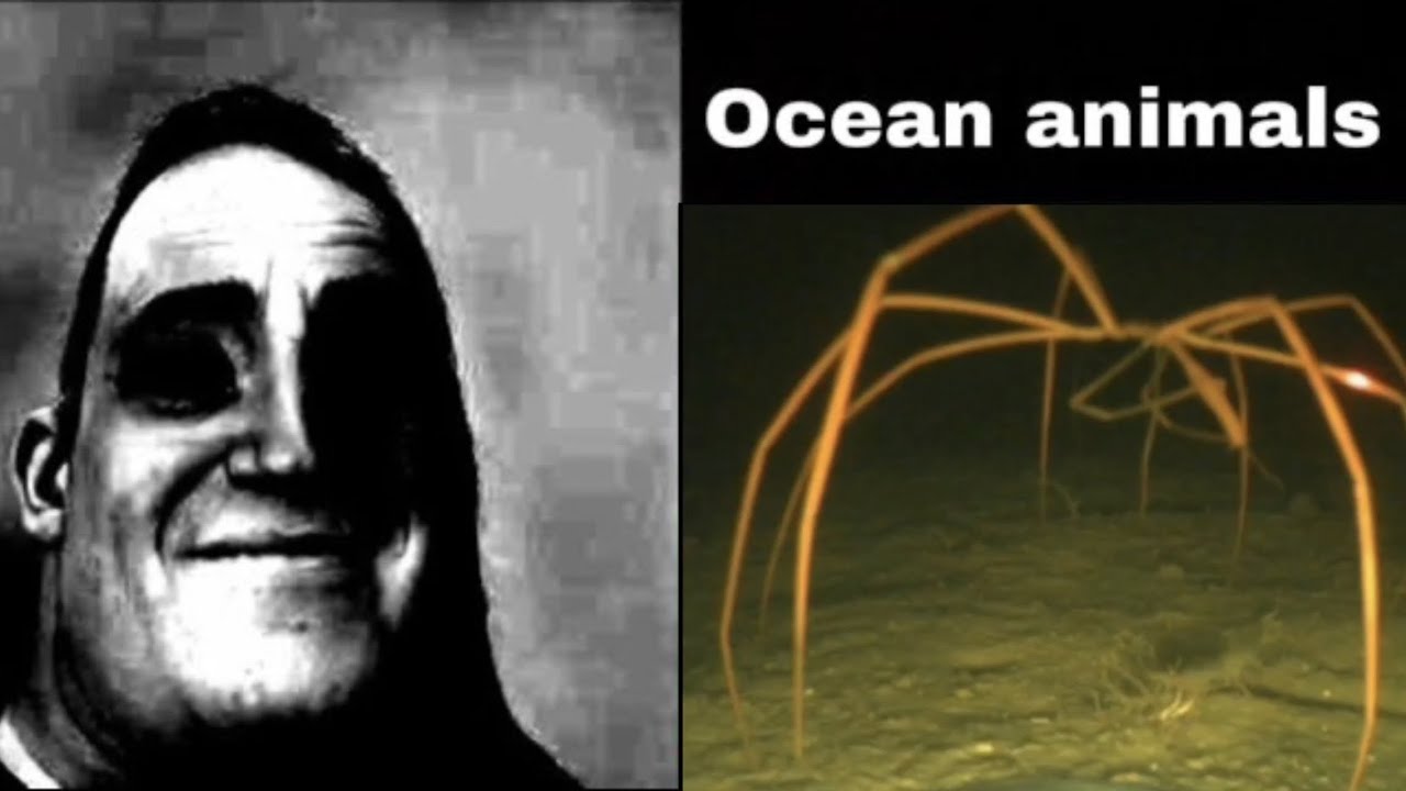 Mr incredible becoming uncanny (ocean animals🐋)