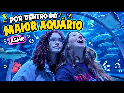 ASMR vlog at AquaRio in Rio de Janeiro: the largest aquarium in Latin America (whispering and sof...