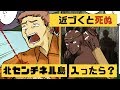 【漫画】「北センチネル島」世界一危険な島に近づくとどうなるのか？【マンガ動画】【アニメ】