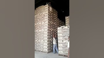 Manual Handling (HORSEPLAY)