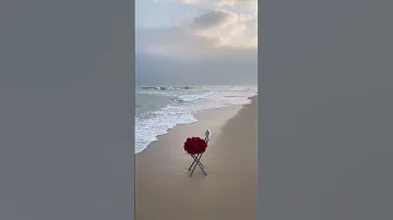 تستاهلى تتحبى بجد حالات واتساب 