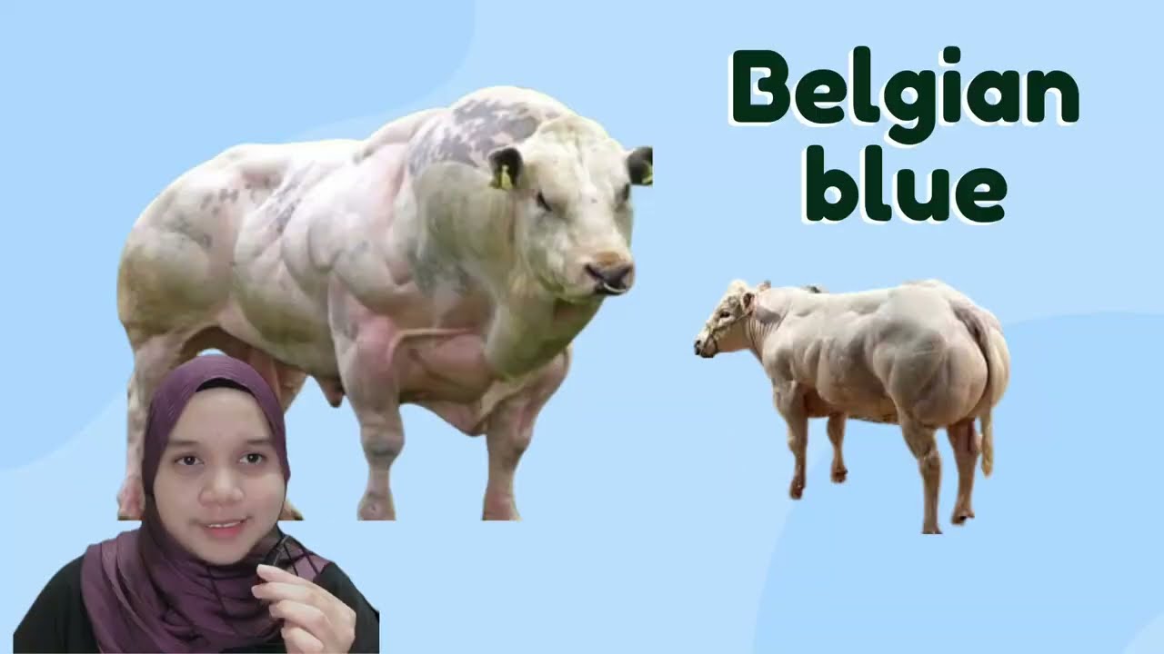 ALYNN SURAYA SBH2 F20A0358