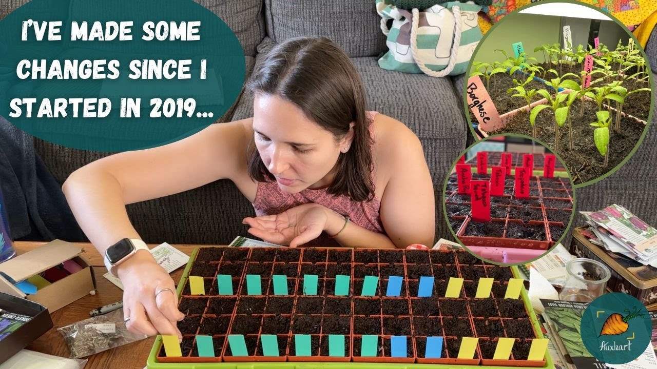 How I start seeds in my 5th year gardening