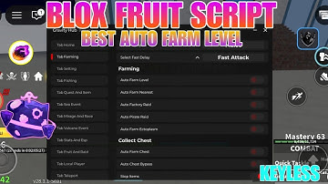 Gravity Hub Roblox Script No Key | Blox Fruits Script Update Best Auto Farm Level