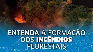 Entenda como são formados os incêndios florestais