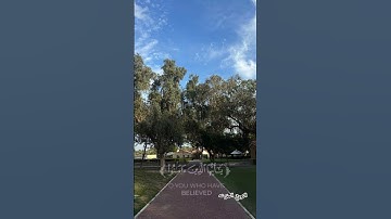 {وَمَلائِكَتَهُ يُصَلُّونَ عَلَى النَّبِيِّ}||من سورة الأحزاب ||القارئ شريف مصطفى 🎧🏃