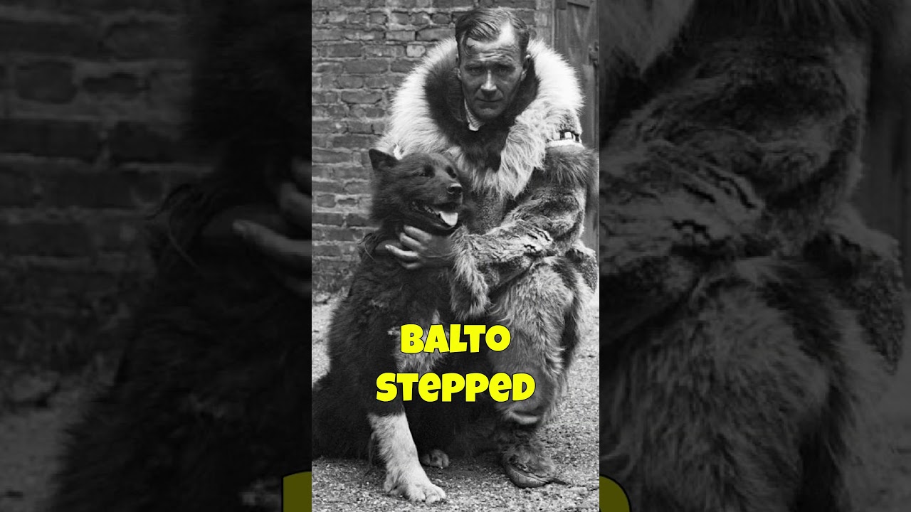 This Dog Saved an Entire Town of Children 😱🐾