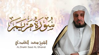 الشيخ سعد الغامدي - سورة مريم | Sheikh Saad Al Ghamdi - Surat Maryam