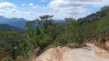 Cảnh đẹp thiên nhiên phường 11, Tp. Đà Lạt.