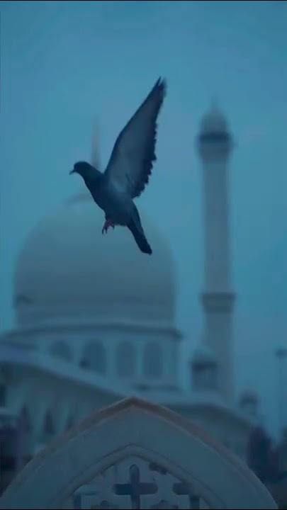 Jo bheji thi dua status song  #statusvideo #shorts #viral